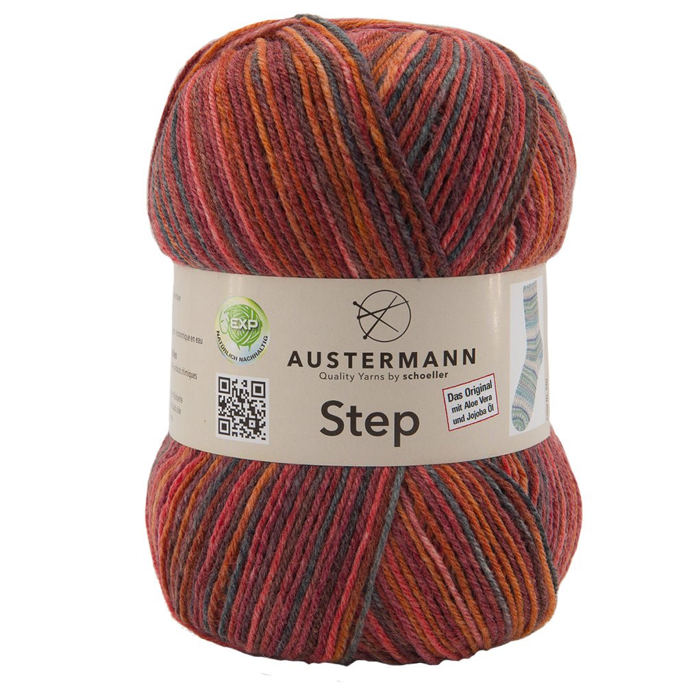 Step 4 Color Exp | 420 M - 100 G | 134 - Burund Easy - ggh Wolle