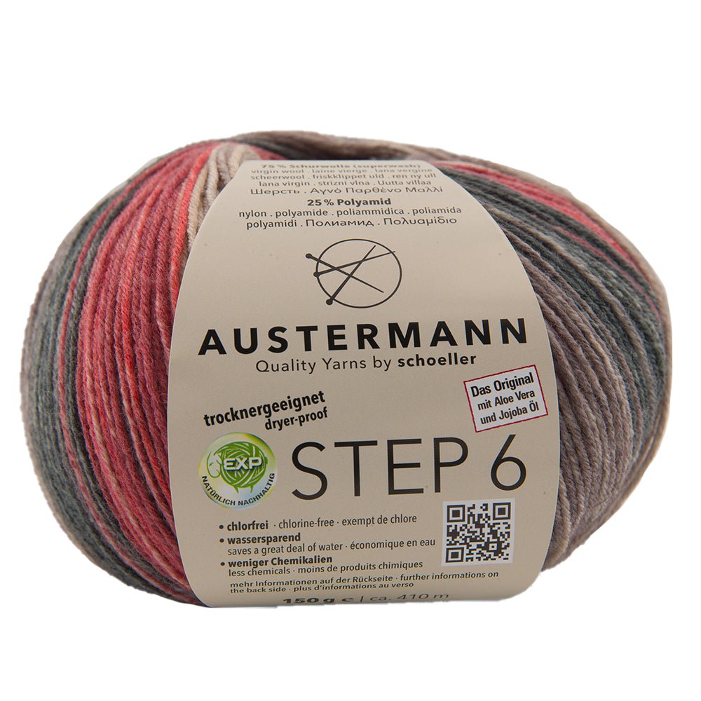 Step 6 Color Exp | 410 M - 150 G | 678 - Edinburgh - ggh Wolle