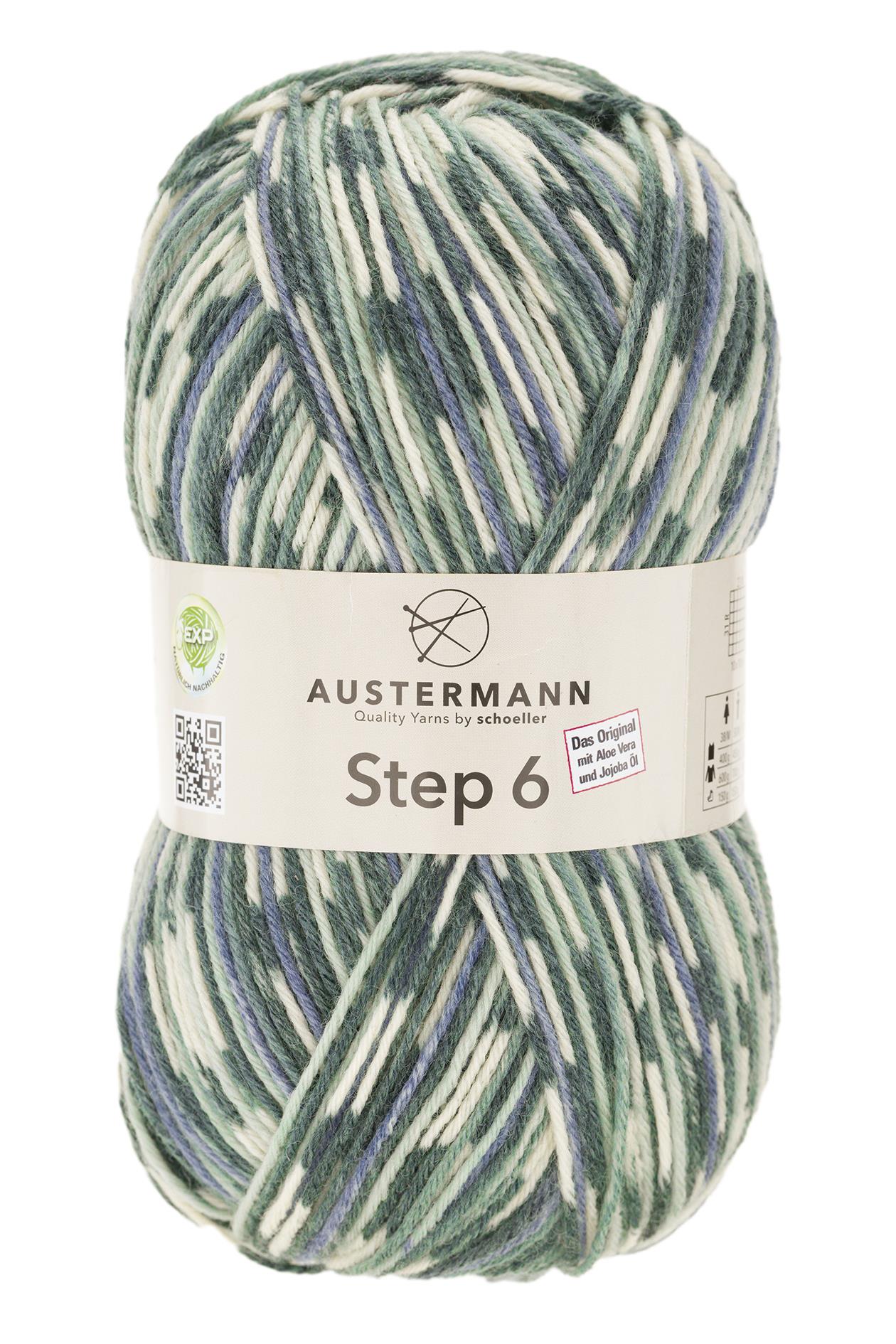 Step 6 Color Exp | 410 M - 150 G | 786 - Asche - ggh Wolle