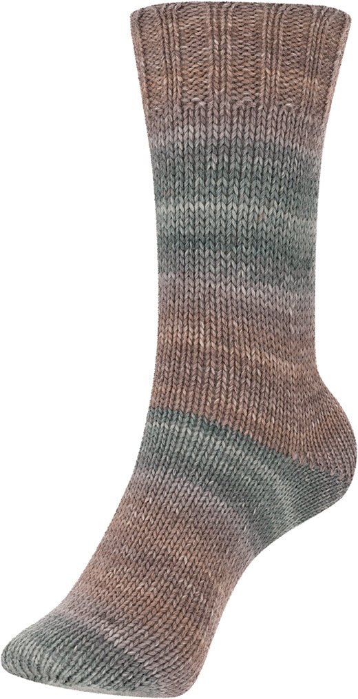 Step 6 Color Exp | 410 M - 150 G | 796 - Braun - Grau - ggh Wolle