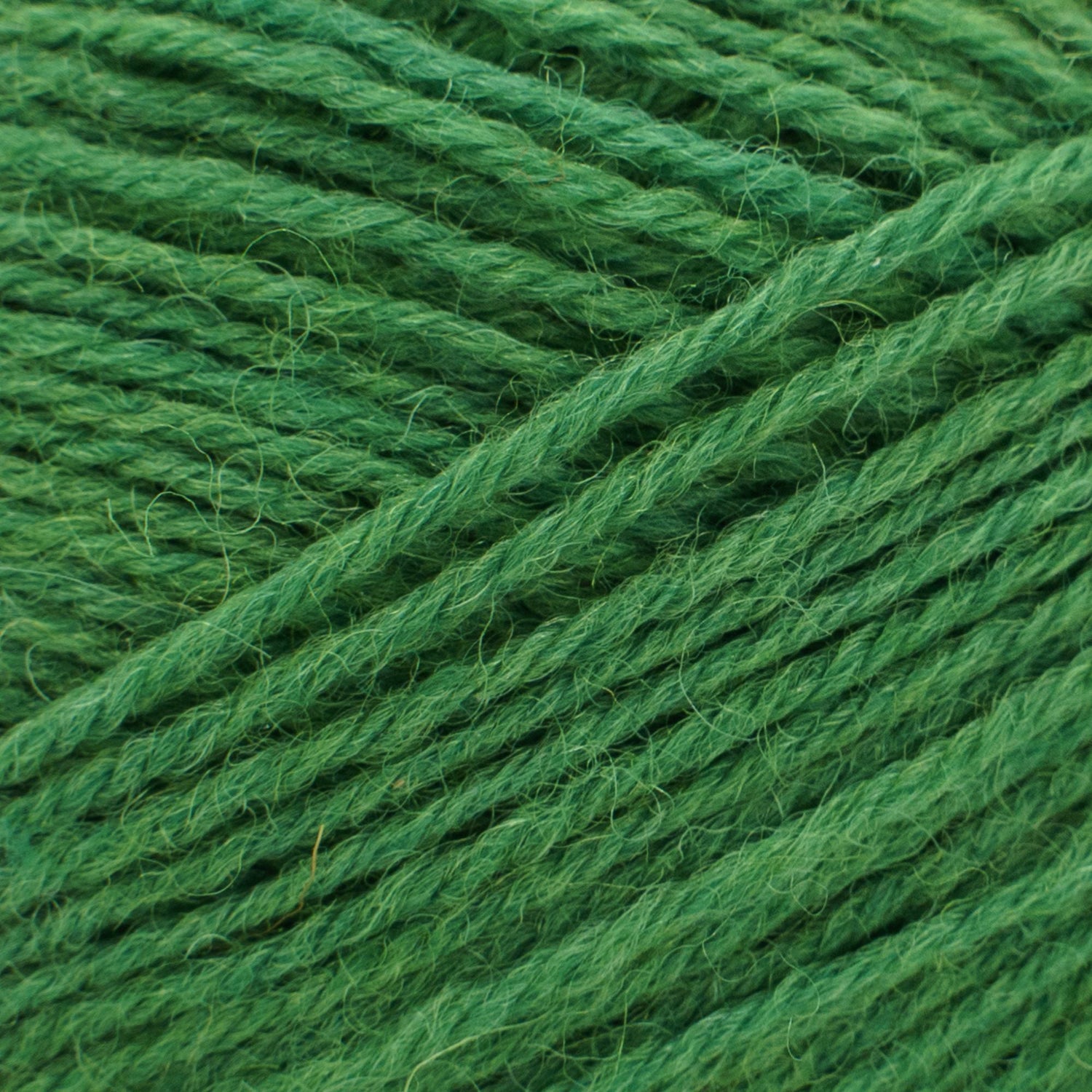 ElbSox Pier 4 | 100g Sockenwolle | 004 - Meeresgrün - ggh Wolle