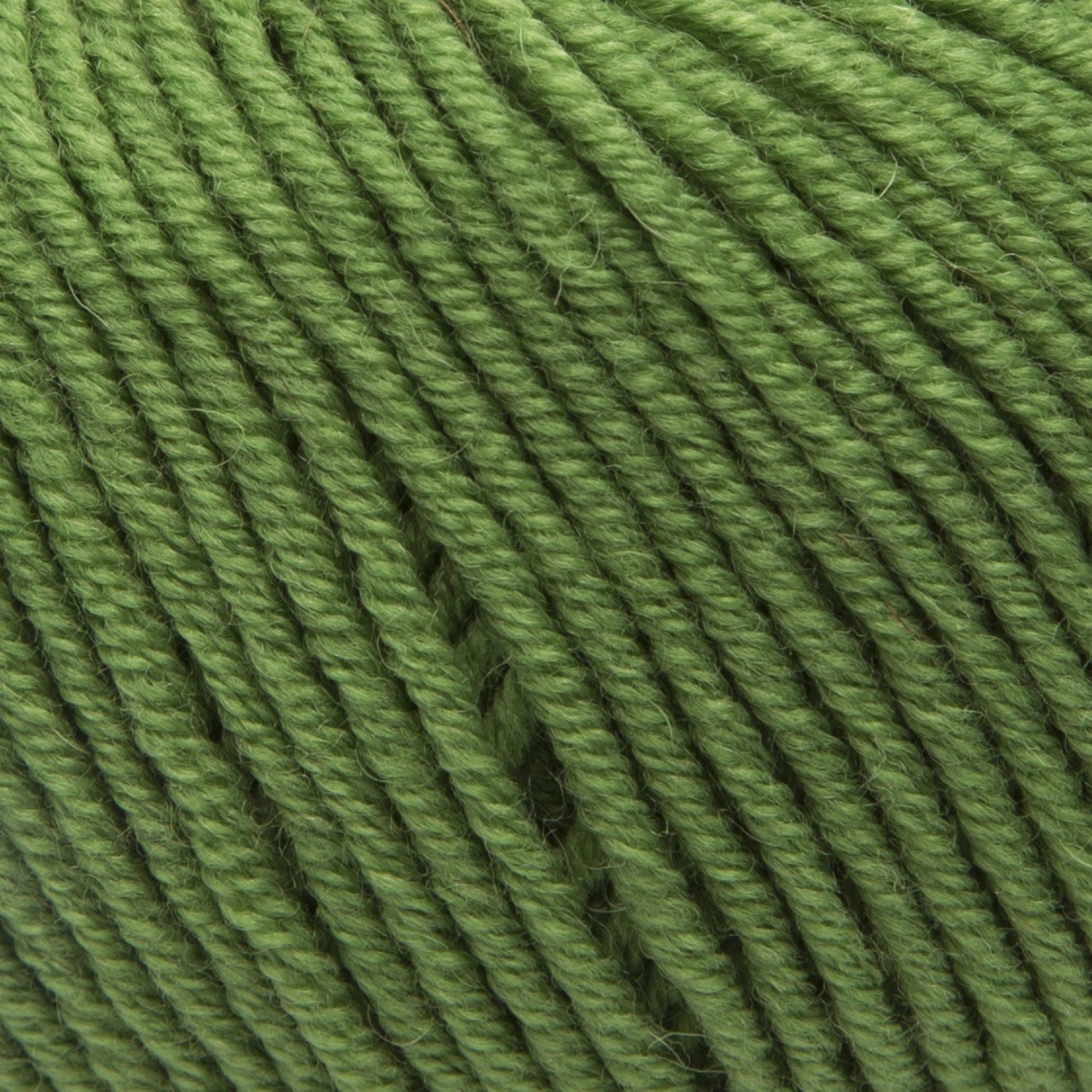 ggh Maxima | Merinowolle | 110m/50g | 043 - Grün - ggh Wolle