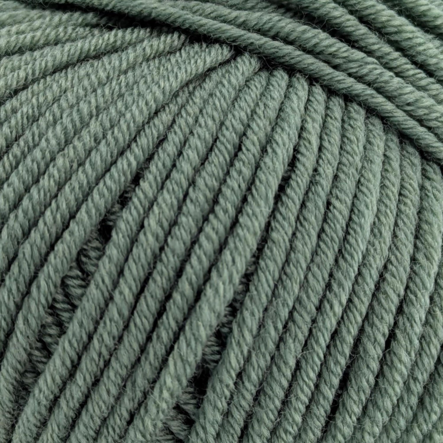 ggh Samson | 110 - Schilfgrün - ggh Wolle