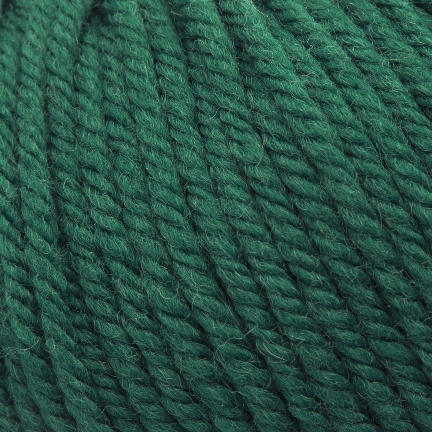 ggh Sportlife Box | Set mit 300g (6x50g) | 025 – Flaschengrün - ggh Wolle