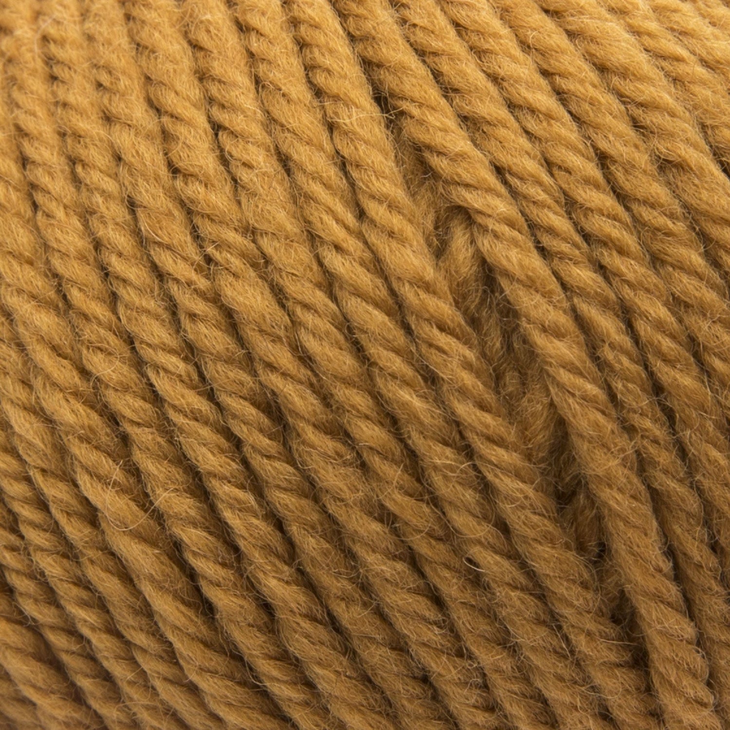 ggh Sportlife Box | Set mit 300g (6x50g) | 037 – Curry - ggh Wolle