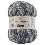 Step 4 Color Exp | 420 M - 100 G | 46 - Nordcap - ggh Wolle