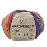 Step 6 Color Exp | 410 M - 150 G | 627 - Tralee - ggh Wolle