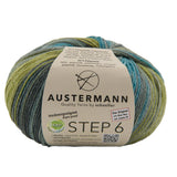 Step 6 Color Exp | 410 M - 150 G | 628 - Liscannor - ggh Wolle