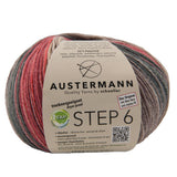 Step 6 Color Exp | 410 M - 150 G | 678 - Edinburgh - ggh Wolle
