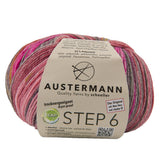 Step 6 Color Exp | 410 M - 150 G | 679 - Inverness - ggh Wolle