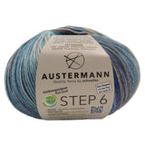 Step 6 Color Exp | 410 M - 150 G | 682 - Loch Ness - ggh Wolle