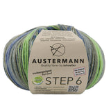 Step 6 Color Exp | 410 M - 150 G | 716 - Bergwiese - ggh Wolle