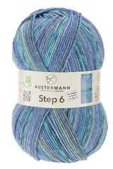 Step 6 Color Exp | 410 M - 150 G | 717 - Lagune - ggh Wolle