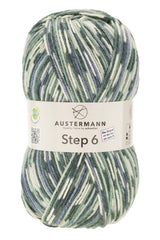 Step 6 Color Exp | 410 M - 150 G | 786 - Asche - ggh Wolle