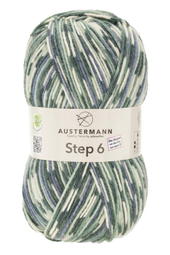 Step 6 Color Exp | 410 M - 150 G | 786 - Asche - ggh Wolle